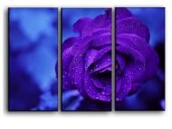 Картина модульная Голубая роза 84x56 см Hotel Arizona HD CNVS-3-IFR-Blue Violet Rose-22x3