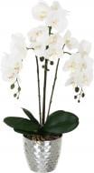 Цветок искусственный Орхидея Real Touch белая с желтой сердцевиной в горшочке 62см