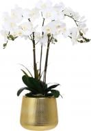Цветок искусственный Орхидея белая в золотом пластиковом горшке 88 см