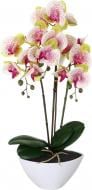 Цветок искусственный Орхидея Real Touch белая с розовой сердцевинкой в гощике 51 см
