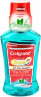 Ополаскиватель для полости рта Colgate Total 12 Pro Нежная мята 250 мл