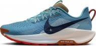 Кроссовки мужские Nike Pegasus Trail 5 DV3864-402 р.40,5 голубые
