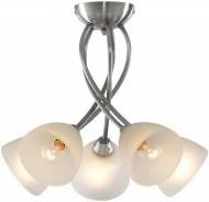 Люстра потолочная Arte Lamp NIKKI 5xE14 матовый хром A2576PL-5SS