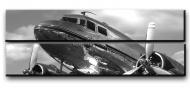 Картина модульная винтажный самолет DC-3 171x56 см Hotel Arizona HD CNVS-2-IFR-PING-22x67