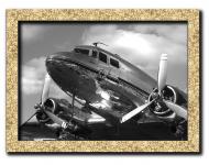 Картина винтажный самолет DC-3 41x31 см Hotel Arizona HD 1 GOLDEN FR-22562443937-AIRC-12x Картина винтажный самолет DC-3 41x31 см Hotel Arizona HD 1 GOLDEN FR-22562443937-AIRC-12x