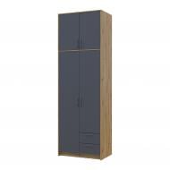 Шафа для одягу Doros Ронді з високою антресолею 2ДСП 2600х820х520 мм дуб артізан / графіт Шафа для одягу Doros Ронді з високою антресолею 2ДСП 2600х820х520 мм дуб артізан / графіт