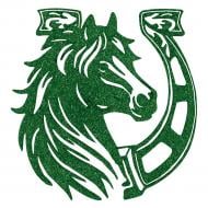 Підвіска MIS LT Кінь-підкова 12 см зелений