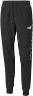 Брюки Puma POWER Sweat Pants 58939701 р. S черный
