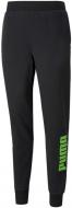 Брюки Puma POWER Sweat Pants 58941451 р. L черный Брюки Puma POWER Sweat Pants 58941451 р. L черный