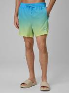Шорты 4F BOARD SHORTS M168 4FWSS26UBDSM168-33S р. 3XL разноцветный