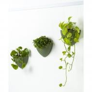 Комплект Click Rail Botaniq 3pcs белый Artiteq