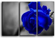 Картина модульная Синяя роза 84x56 см Hotel Arizona HD CVS-3-IFR-Blue Rose-22x33