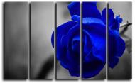Картина модульная Синяя роза 140x89 см Hotel Arizona HD CVS-5-IFR-Blue Rose-35x55 Картина модульная Синяя роза 140x89 см Hotel Arizona HD CVS-5-IFR-Blue Rose-35x55
