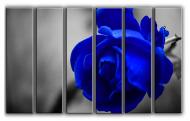 Картина модульная Синяя роза 171x112 см Hotel Arizona HD CVS-6-IFR-Blue Rose-44x67