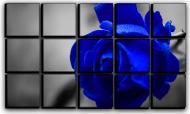 Картина модульная Синяя роза 127x77 см Hotel Arizona HD CVS-15-IFR-Blue Rose-30x50