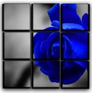 Картина модульная Синяя роза 77x77 см Hotel Arizona HD CVS-9-IFR-Blue Rose-30x30