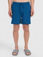 Шорты 4F BOARD SHORTS M169 4FWSS26UBDSM169-46S р. 5XL синий