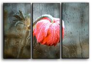 Картина модульная Замороженный цветок 84x56 см Hotel Arizona HD CVS-3-IFR-Frozen Flower-22x33