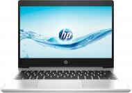 Ноутбук HP ProBook 430 G6 13,3 (4SP88AV_V21) silver