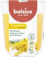 Свеча ароматическая Bolsius TRUE SCENTS в стекле 97/85, аромат Мимоза