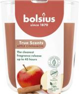 Свеча ароматическая Bolsius TRUE SCENTS в стекле 97/85, аромат Яблоко-корица