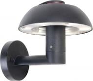 Подсветка для фасадов и ступенек LUTEC LED графит Spril 2251s gr