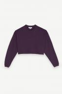 Джемпер Les Benjamins SWEATSHIRT 303 LB24FWESSFUSW-303-1591 р.S фиолетовый