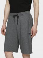 Шорты 4F H4L21-SKMD014-23P р. 3XL темно-серый