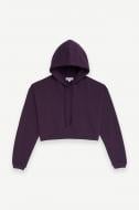 Джемпер Les Benjamins HOODIE 303 LB24FWESSFUHD-303-1591 р.S фиолетовый Джемпер Les Benjamins HOODIE 303 LB24FWESSFUHD-303-1591 р.S фиолетовый