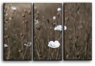 Картина модульная Цветы в поле 84x56 см Hotel Arizona HD CVS-3-IFR-Linen Flowers-22x33
