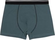 Трусы для мальчиков Bembi ТР42 р.104 бирюзовый 22042011039.R00