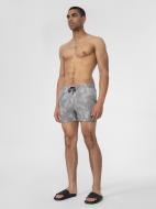 Шорты 4F 4FSS22TFSHM126-25A р. XL серый Шорты 4F 4FSS22TFSHM126-25A р. XL серый