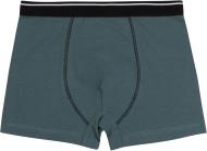 Труси для хлопчиків Bembi ТР42 р.128 бірюзовий 22042011043.R00