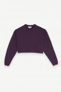 Джемпер Les Benjamins SWEATSHIRT 303 LB24FWESSFUSW-303-1591 р.L фиолетовый