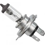 Автолампа розжарювання Narva Range Power+50 24 Вт 1 шт.(48861)