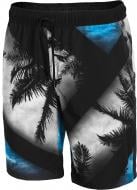 Шорти 4F H4L21-SKMT008-92A р. L різнокольоровий