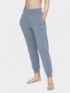 Брюки 4F H4L21-SPDD011-32S р. L синий