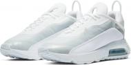 Кроссовки мужские демисезонные Nike Air Max 2090 BV9977-100 р.43 белые