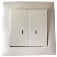 Выключатель двухклавишный двухклавишный Efapel Logus с подсветкой металлик ледяной 21062 TGE