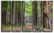 Картина модульная Лес в Баварии 140x89 см Hotel Arizona HD CVS-5-IFR-Forest and Trees-35x55