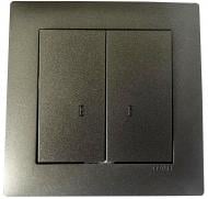 Выключатель двухклавишный двухклавишный Efapel Logus с подсветкой металлик графит 21062 TIS Выключатель двухклавишный двухклавишный Efapel Logus с подсветкой металлик графит 21062 TIS