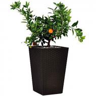 Горшок пластиковый Large Rattan Planter квадратный 145 л коричневый