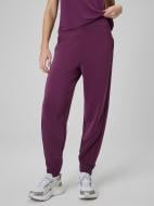 Брюки 4F Trousers Cas F1410 4FWSS26TTROF1410-60S р. L бордовый Брюки 4F Trousers Cas F1410 4FWSS26TTROF1410-60S р. L бордовый
