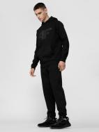 Брюки 4F 4FSS22TTROM082-20S р. S черный