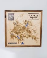 Карта Украины Харьков 65x65 см