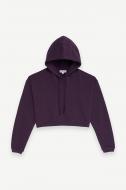 Джемпер Les Benjamins HOODIE 303 LB24FWESSFUHD-303-1591 р.M фиолетовый