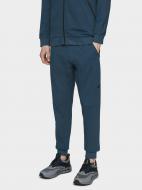 Брюки 4F H4L21-SPMD012-32S р. 2XL синий