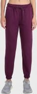 Брюки 4F Trousers Cas F1421 4FWSS26TTROF1421-60S р. XS бордовый