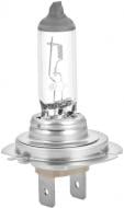Автолампа галогенная Philips MasterDuty H7 70 Вт 1 шт.(13972MDC1)