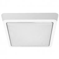 ВИТРИНА! Светильник светодиодный Luminaria S170 15 Вт белый 5500 К DLS 15W